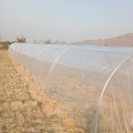 WhatsApp Image 2025-07-10 at 15.54.44_63fcb82d